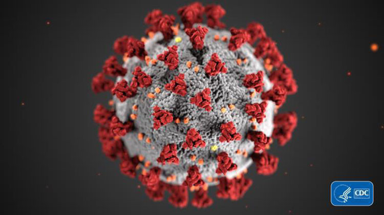 Coronavirus News Roundup: Thursday, March 12