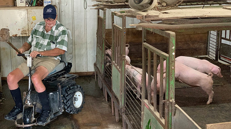 Farmer Mark Hosier, 58, rides a scooter as he checks on his pigs on his farm in Alexandria. Hosier was injured in 2006, when a 2,000-pound bale of hay fell on him while he was working. Assistive technology has helped him stay on the job. - Andrew Soregel via AP