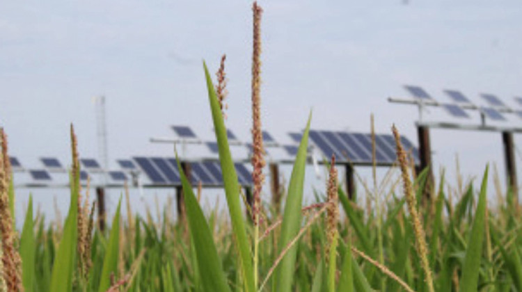 Two solar projects have been proposed on land in Washington Township in Delaware County. - (File Photo: Emilie Syberg/WBAA)