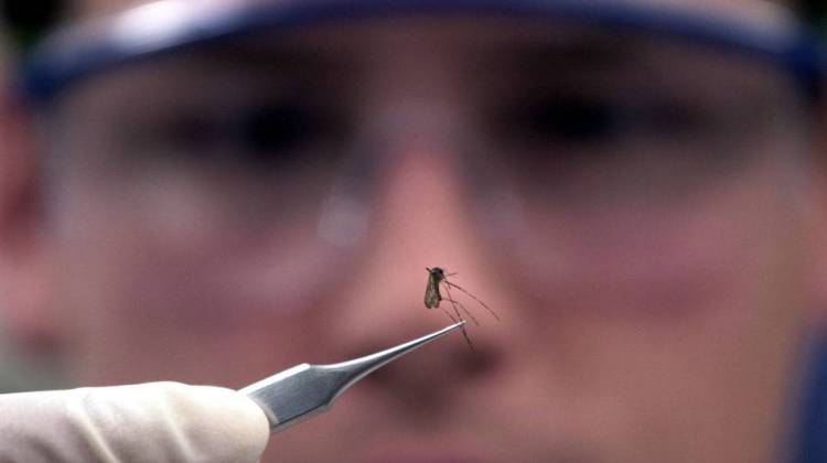 The High Cost Of Treating People Hospitalized With West Nile Virus