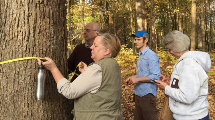 Arborists surveyed the Crown Hill site in October and identified 36 different tree species, some more than 16 feet around. - Courtesy of Indiana Forest Alliance