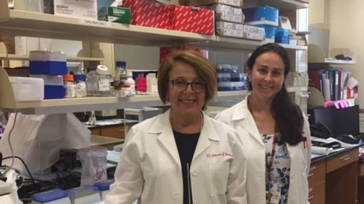 Dr. Anna Maria Storniolo and Dr. Natascia Marino at the Susan G Komen Tissue Bank at the IU Simon Cancer Center. - Jill Sheridan/IPB