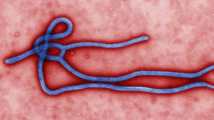 Ebola Breaks Out In West Africa For The First Time