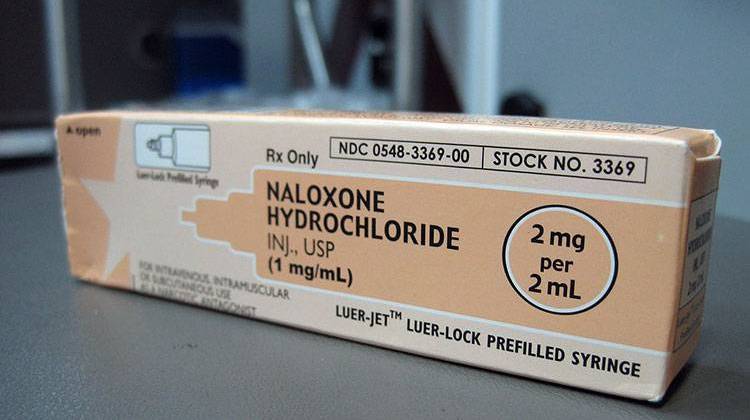 Naloxone immediately halts the effects of an opioid overdose. - file photo