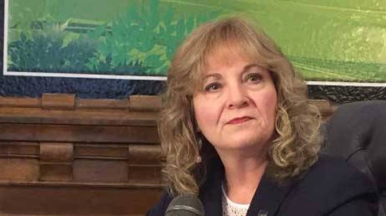State superintendent Glenda Ritz updated her legislative agenda Tuesday for the 2016 General Assembly.  - Claire McInerny/Indiana Public Broadcasting