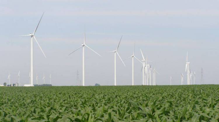 Several Indiana counties are rewriting ordinances that regulate wind turbines, like these in Benton County. - file photo