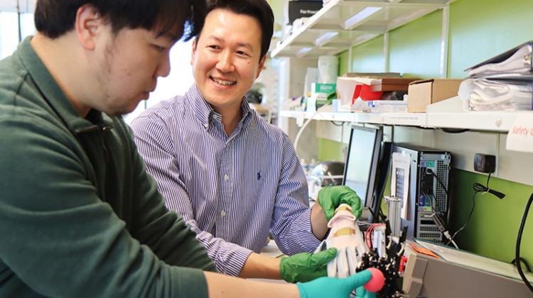 Using a robotic hand, Jinwook Baek (left), postdoctoral research assistant, and Sunghwan Lee, assistant professor of engineering technology, examine how a flexible and wearable sensor could be used to monitor health information and manipulate a small object (ball). - John O'Malley
/
Purdue University
