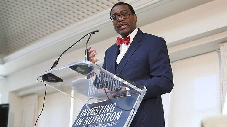 Akinwumi Adesina, President of the African Development Bank, speaks at Investing in Nutrition: The Foundation for Development panel discussion on Sunday, April 17, 2016 at the Hay-Adams Hotel in Washington, D.C. - Paul Morigi/AP Images for 1,000 Days