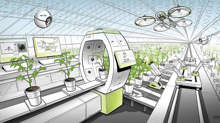 An artist's rendering of the new facility shows how plants will move through imaging stations on conveyer belts. - Courtesy Purdue University