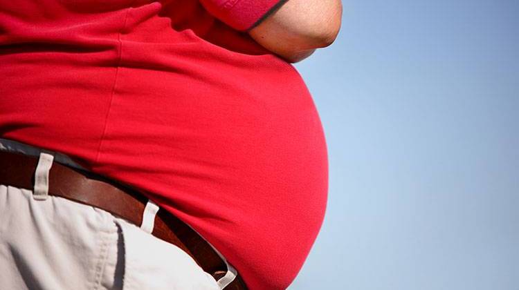 Indiana's obesity rate has climbed every year since 2008. - file photo