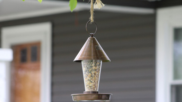 Experts say weekly cleanings of feeders can reduce the spread of avian flu — as well as using bird feeders that don’t let birds get their whole bodies onto a feeder. - Ben Thorp/WBAA