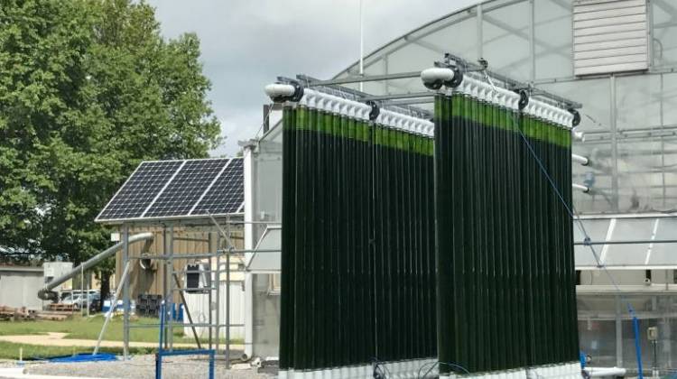 The system will be modeled after this photobioreactor, located at Duke Energy's East Bend Coal Power Plant, designed by the University of Kentucky. - Photo courtesy of Center for Applied Energy Research
