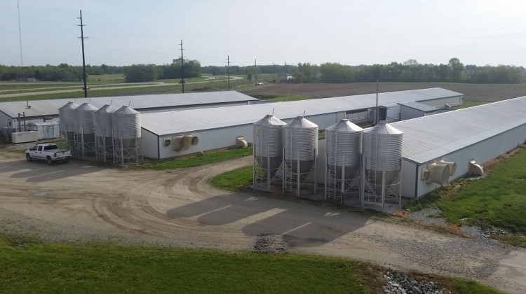 CAFOs off Route 25 in Tippecanoe County. - FILE PHOTO: Annie Ropeik/IPB News