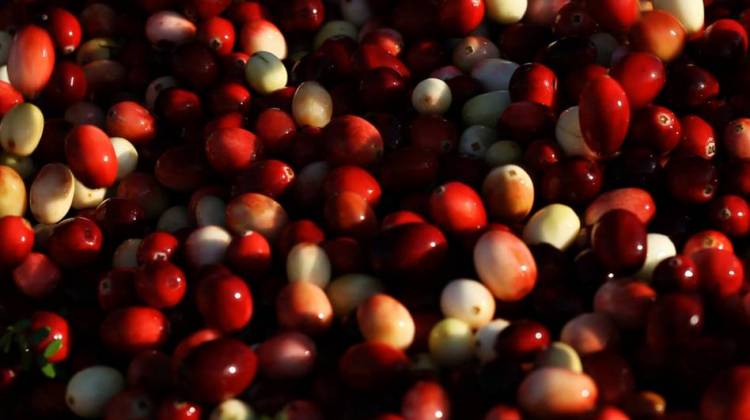 Why We Give Thanks For The Health Benefits Of Cranberries