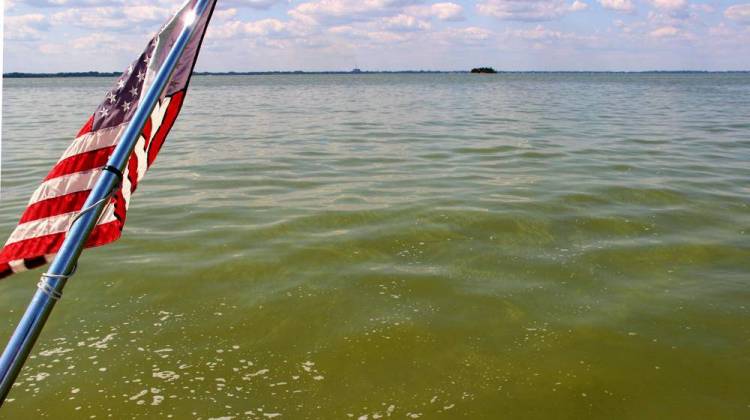 A bloom of cyanobacteria in Lake Erie. - Mark Brush/Michigan Radio