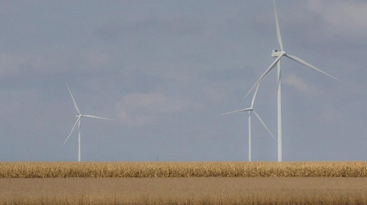Indiana counties that want to develop new wind ordinances would have to either follow state guidelines or create renewable energy districts. - FILE PHOTO: Annie Ropeik/IPB News