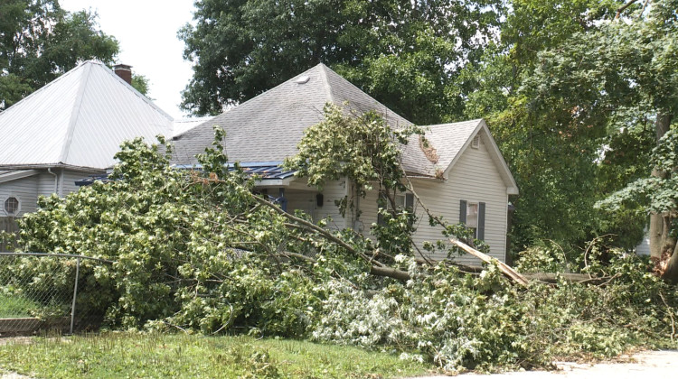 Duke Energy reported more than 150 power lines and 200 poles came down as a result of the storms. AES Indiana said, among other things, it had to replace 53 poles and repair 39 transformers.  - Clayton Baumgarth/WTIU
