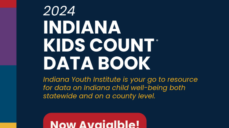 The data book is available and includes measures of youth wellbeing. - Courtesy of Indiana Youth Institute