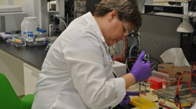 An agricultural researcher works at Dow AgroSciences in Indianapolis. - Courtesy Dow AgroSciences