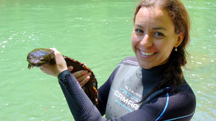 A biologist with the U.S. Fish and Wildlife Service holds up an eastern hellbender during a survey in 2009. - USFWS/Wikimedia Commons