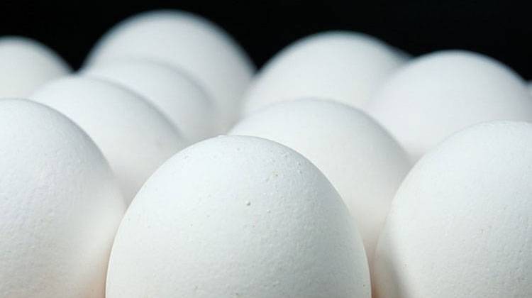 200 Million Eggs Recalled Because Of Salmonella Concerns