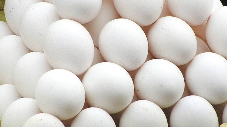 Indiana Among States Challenging California Egg Law