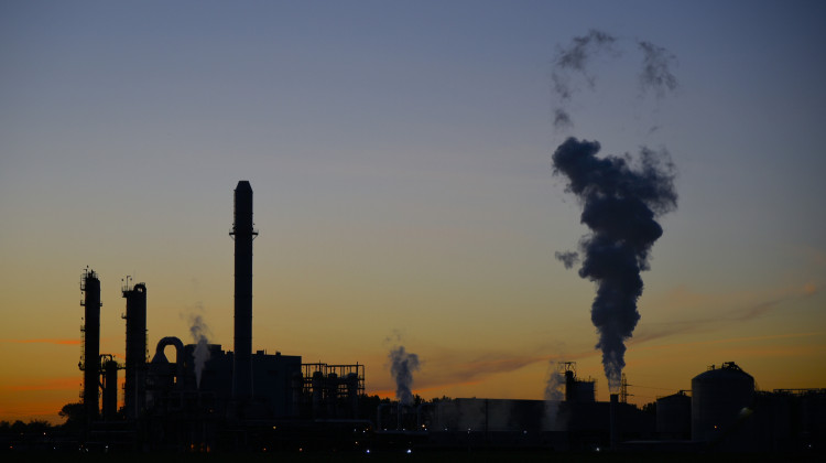How do environmental emission 'quotas' work? One expert explains