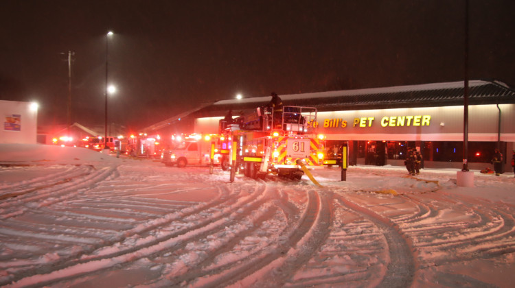 100 Animals Killed In Fire At Indy Pet Store