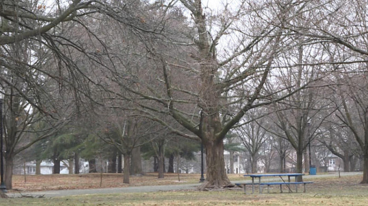According to the Indiana Forest Alliance, only 15 percent of Indianapolis's urban forests are protected in parks — like here in Garfield Park. - (Rebecca Thiele/IPB News)