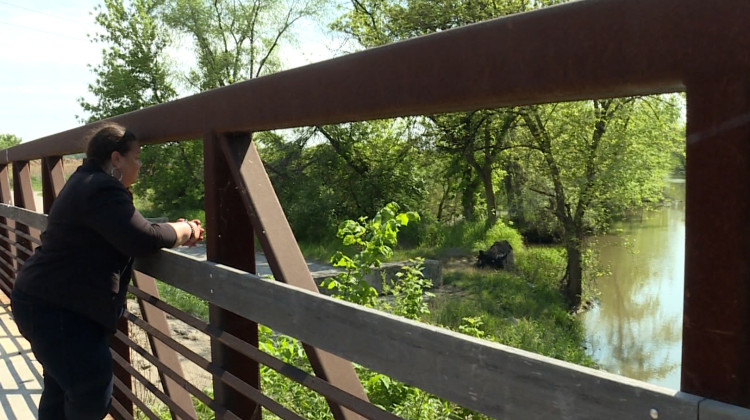 Kimmie Gordon of Gary Advocates for Responsible Development (GARD) overlooks the Little Calumet River at a peaceful spot in the city. Gordon said Gary deserves more spaces like this.  - Rebecca Thiele/IPB News