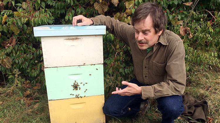 Purdue entomologist Greg Hunt raises millions of bees just West of Purdueâ€™s campus.  - Sarah Fentem