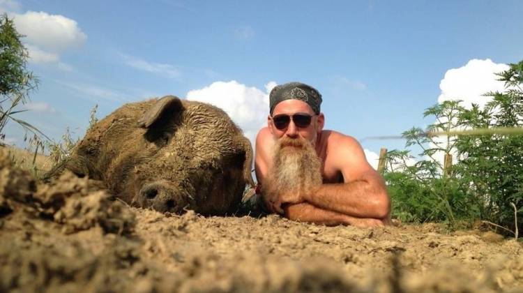 To Save These Pigs, Ky. Farmer Says We Have To Eat Them