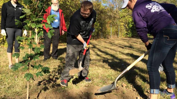 Triston (c) works with his team to fill in the soil around the sugar maple tree they just planted. - Photo By: Deron Molen