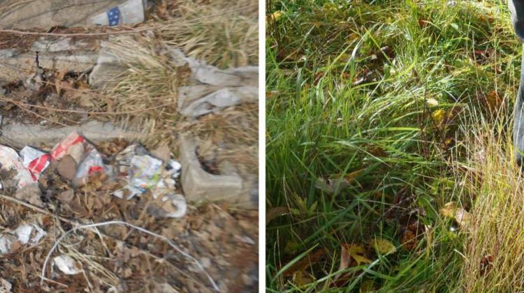Photos from the complaint show trash and overgrown grass around Deutsche Bank-owned properties in majority-black neighborhoods of Indianapolis. - Courtesy NFHA