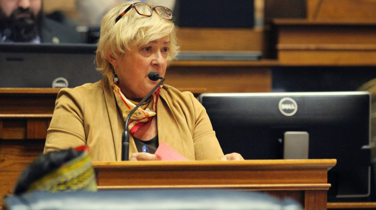 Sen. Karen Tallian (D-Ogden Dunes) says her bill doesn’t impact those who rent out their homes for 15 days a year or less. - Lauren Chapman/IPB News