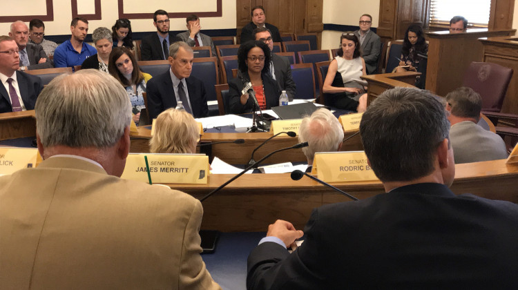 Independent evaluator Paul Vincent (center left) and DCS Director Terry Stigdon (center right) discuss DCS issues with Indiana's Legislative Council. - Brandon Smith/IPB News