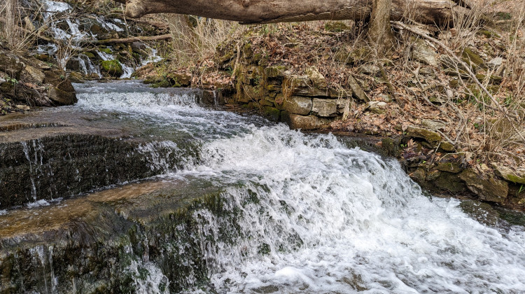 Monroe County stormwater coordinator Kelsey Thetonia said there are streams on the west side of Bloomington that sink and reappear in places like Leonard Springs Nature Park. - Rebecca Thiele/IPB News