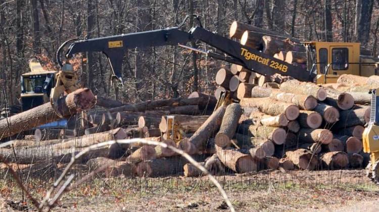 Hamilton Logging is actively harvesting timber from a tract of Yellowwood State Forest. - Zach Herndon/WTIU
