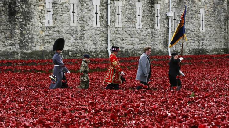 On Armistice Day In U.K., A Sea Of Red Poppies Honors The Fallen
