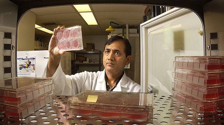 Suresh Mittal, a professor of comparative pathobiology in Purdue's College of Veterinary Medicine, leads research into a broad spectrum vaccine capable of covering emerging avian influenza viruses. - Purdue University file photo