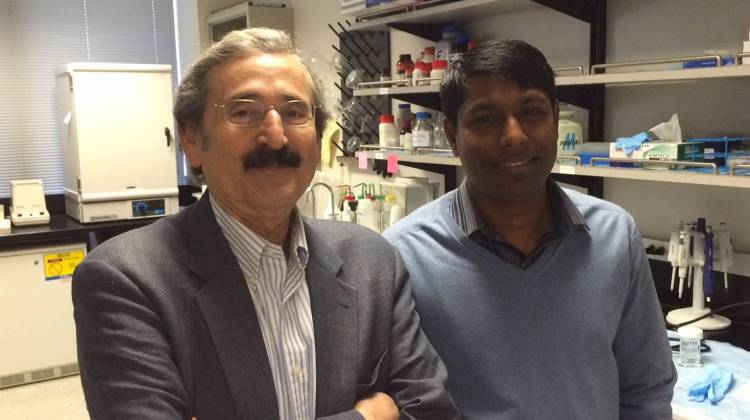 Indy Nanotech Scientists Develop Blood Test For Pancreatic Cancer