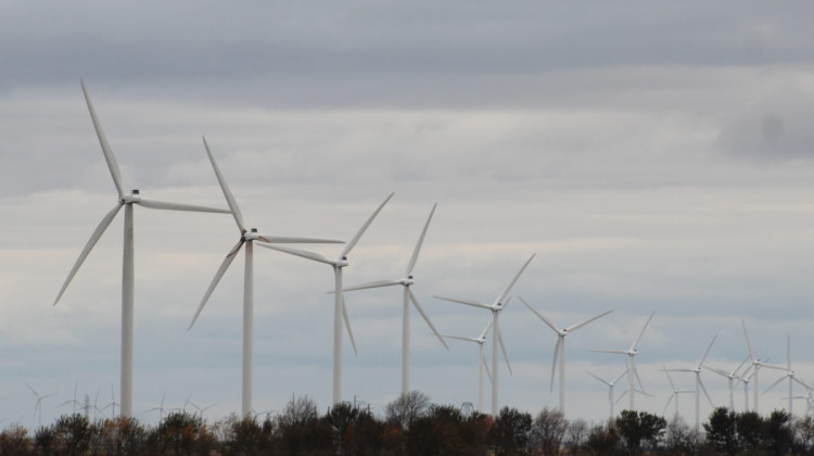 NIPSCO opened this wind farm in White County in November 2021.  - Ben Thorp/WBAA