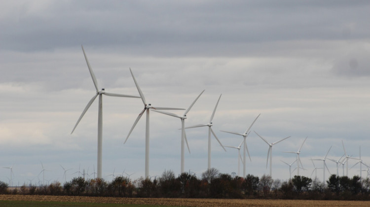 Wind turbines at a farm in White County - (WBAA News/Ben Thorp)