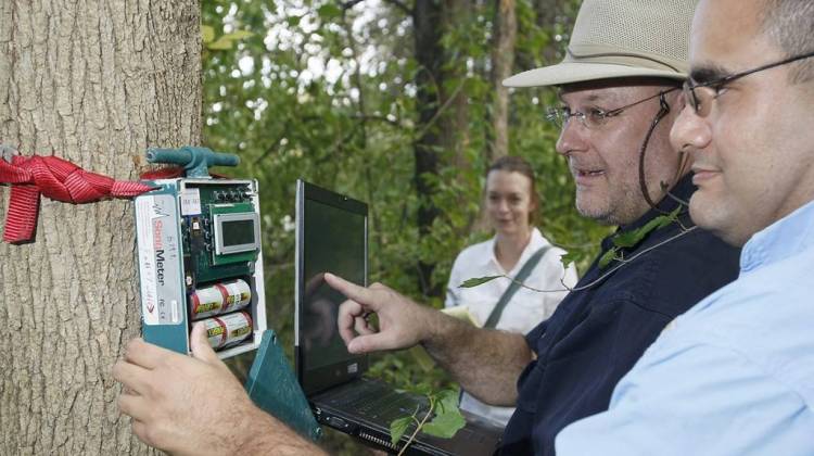 Purdue University ecologists collect data from recording equipment. - Purdue University/Tom Campbell