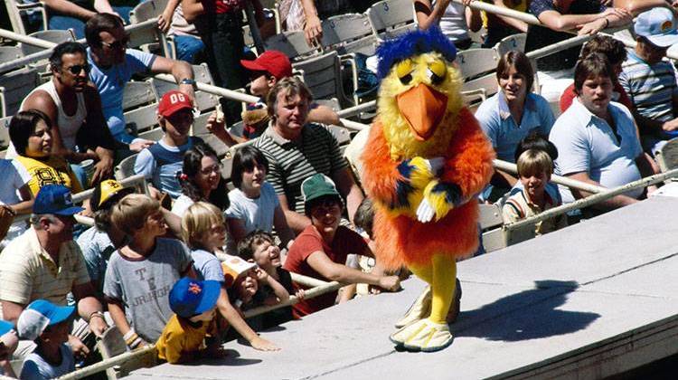 Well-known sports mascot The San Diego Chicken performs for fans at Shea Stadium as the San Diego Padres play the New York Mets in New York, June 7, 1979. - AP Photo/ G. Paul Burnett