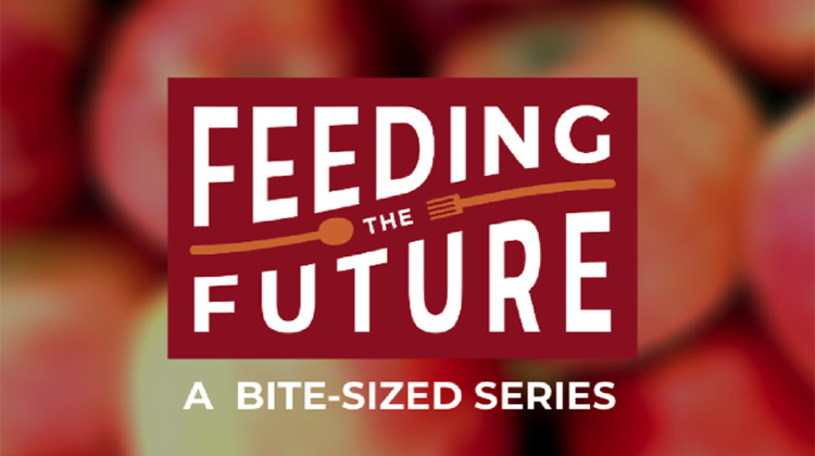 Video series offers conversations around food insecurity in central Indiana