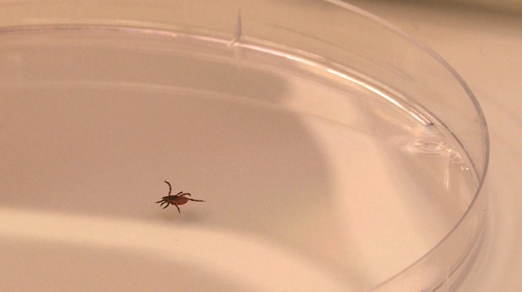 Lack of data, info leaves Indiana doctors unprepared for more tick diseases