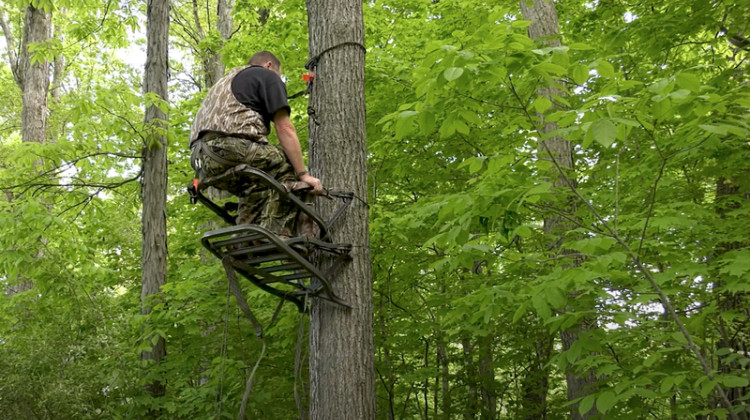 An Indiana Department of Natural Resources employee demonstrates how to safely set up a climbing tree stand.  - Indiana DNR/Youtube