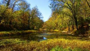 State Land Conservation Program Protects Thousands Of Acres