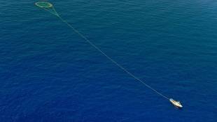 Should We Close Part Of The Ocean To Keep Fish On The Plate?